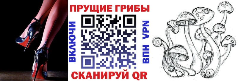Галлюциногенные грибы Psilocybe  ОМГ ОМГ ССЫЛКА  Нальчик  купить  